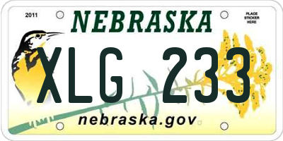 NE license plate XLG233