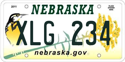 NE license plate XLG234