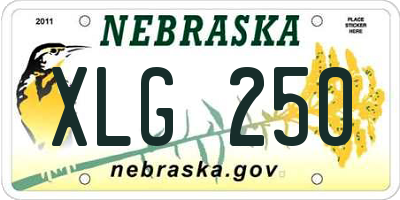 NE license plate XLG250