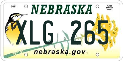 NE license plate XLG265