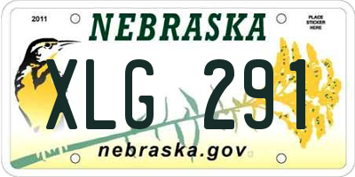 NE license plate XLG291