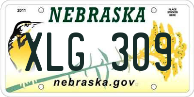 NE license plate XLG309