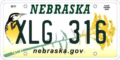 NE license plate XLG316