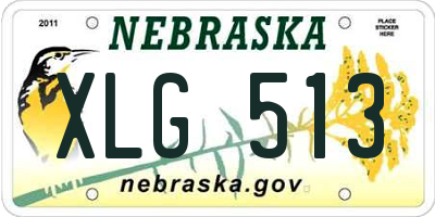 NE license plate XLG513