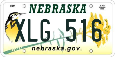 NE license plate XLG516