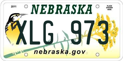 NE license plate XLG973