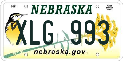 NE license plate XLG993