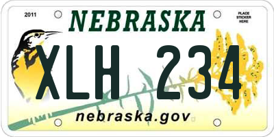 NE license plate XLH234