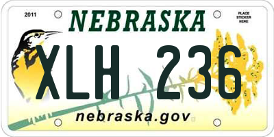 NE license plate XLH236