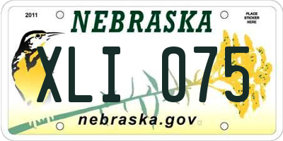 NE license plate XLI075