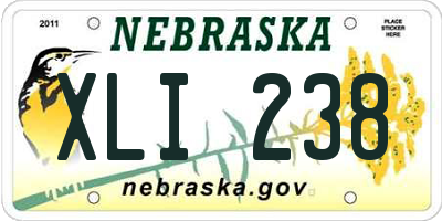 NE license plate XLI238