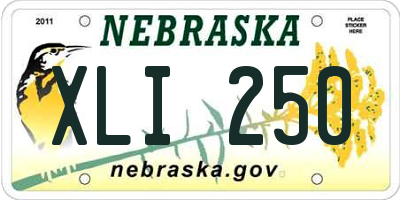 NE license plate XLI250