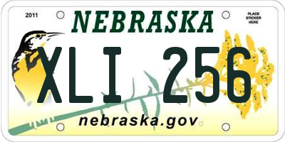NE license plate XLI256