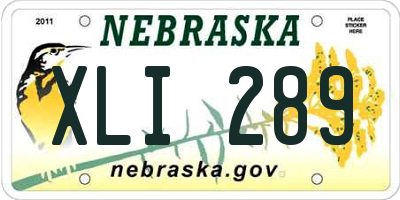 NE license plate XLI289