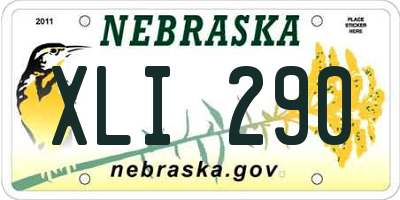 NE license plate XLI290