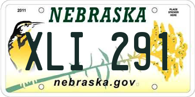 NE license plate XLI291