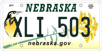 NE license plate XLI503