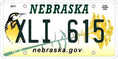 NE license plate XLI615