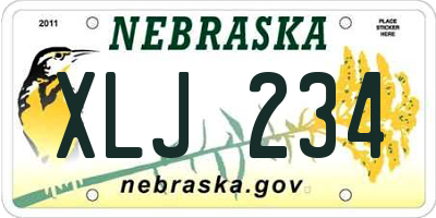 NE license plate XLJ234