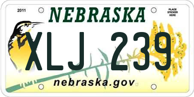 NE license plate XLJ239