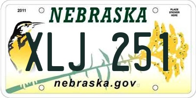 NE license plate XLJ251
