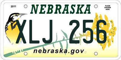 NE license plate XLJ256