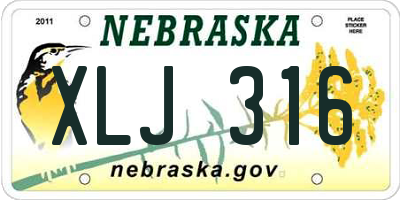 NE license plate XLJ316
