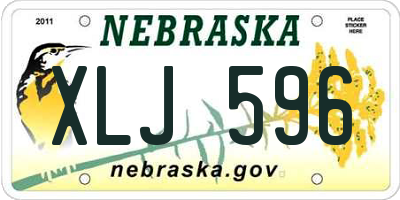 NE license plate XLJ596