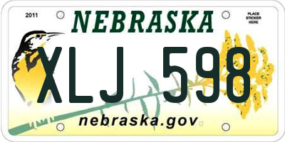 NE license plate XLJ598