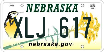 NE license plate XLJ617