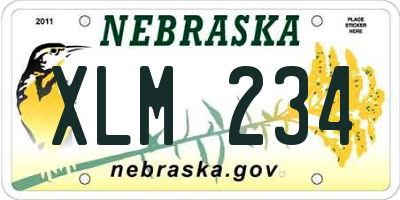 NE license plate XLM234