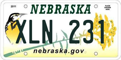 NE license plate XLN231