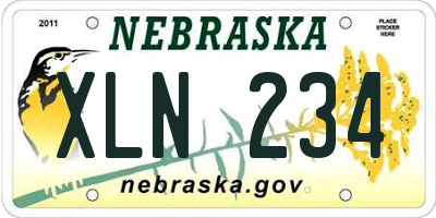 NE license plate XLN234
