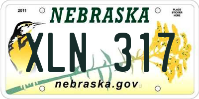 NE license plate XLN317