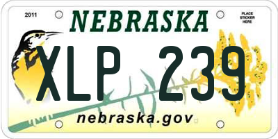 NE license plate XLP239