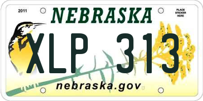 NE license plate XLP313
