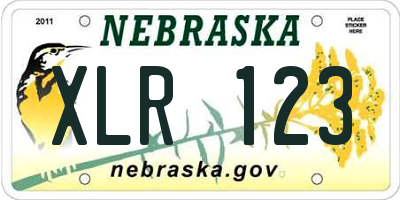 NE license plate XLR123