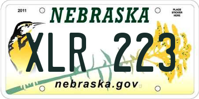 NE license plate XLR223