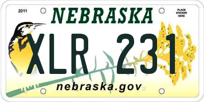 NE license plate XLR231