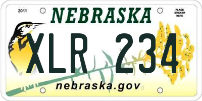 NE license plate XLR234