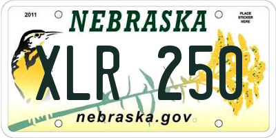 NE license plate XLR250