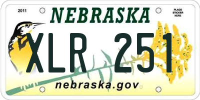 NE license plate XLR251