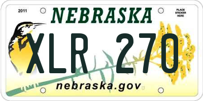 NE license plate XLR270