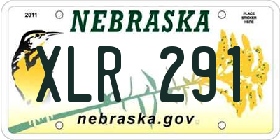 NE license plate XLR291
