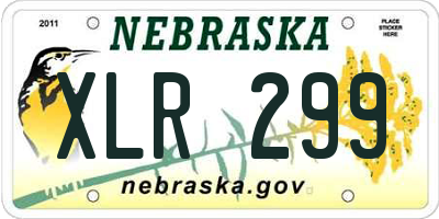 NE license plate XLR299