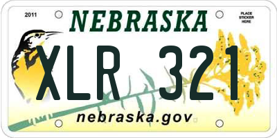 NE license plate XLR321