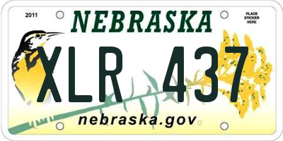 NE license plate XLR437