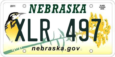 NE license plate XLR497