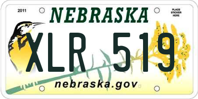 NE license plate XLR519