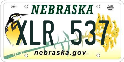 NE license plate XLR537